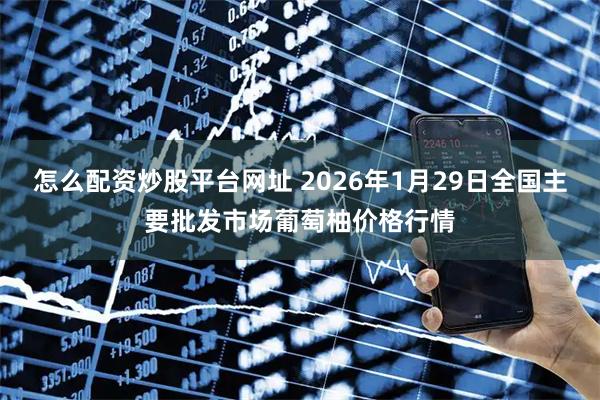 怎么配资炒股平台网址 2026年1月29日全国主要批发市场葡萄柚价格行情