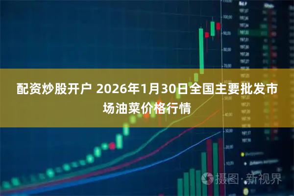 配资炒股开户 2026年1月30日全国主要批发市场油菜价格行情